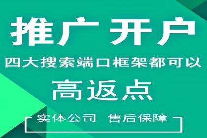 SEM实战案例：案例分析广告效果评估